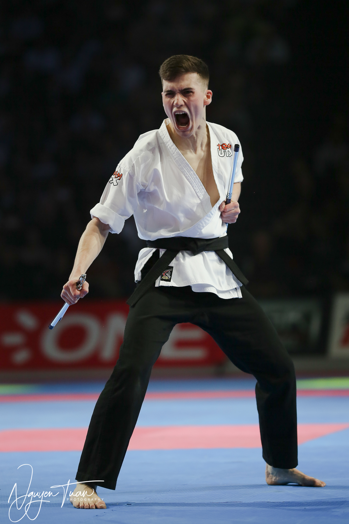 20190324 Festival des Arts Martiaux 4706